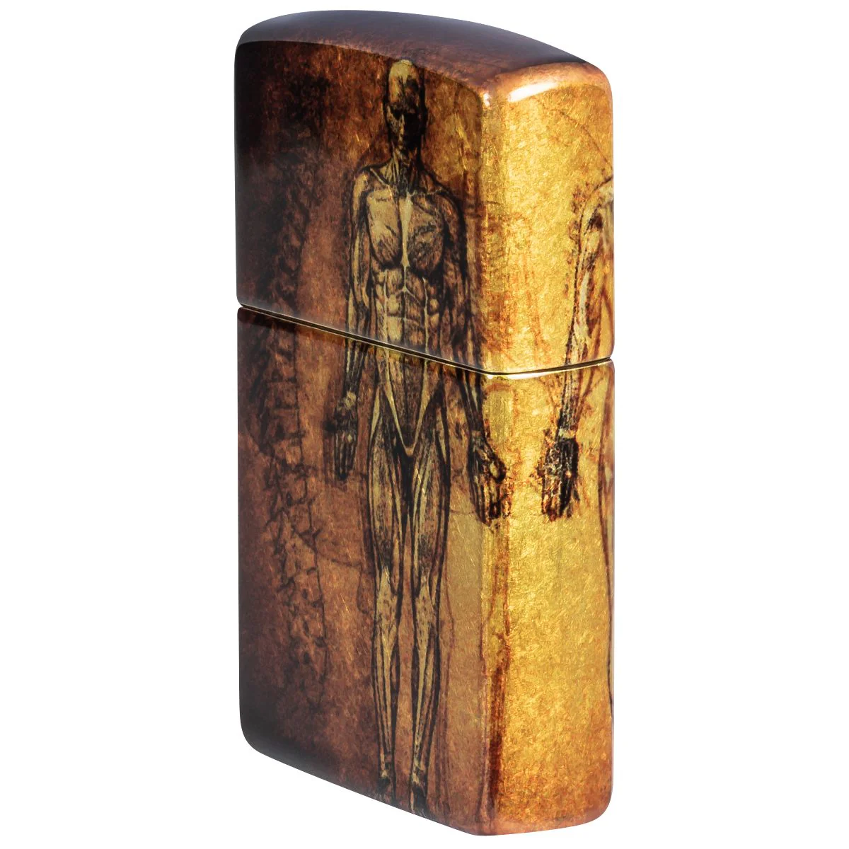 Zippo Lighter: Human Anatomy - 540 Fusion 46329 - Image 3