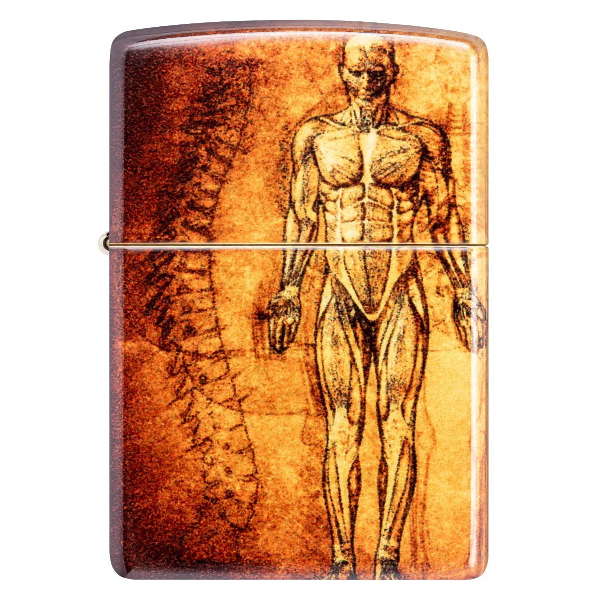 Zippo Lighter: Human Anatomy - 540 Fusion 46329 - Image 5