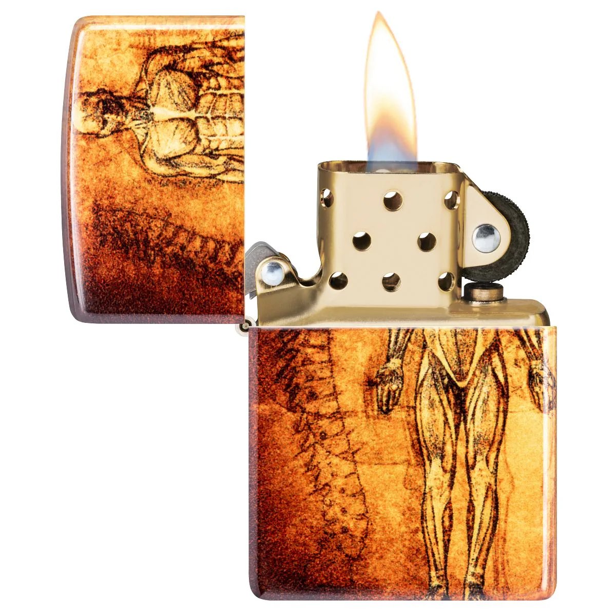 Zippo Lighter: Human Anatomy - 540 Fusion 46329 - Image 6